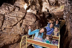 Postojna Cave and Castle Small-Group Dagstur fra Ljubljana