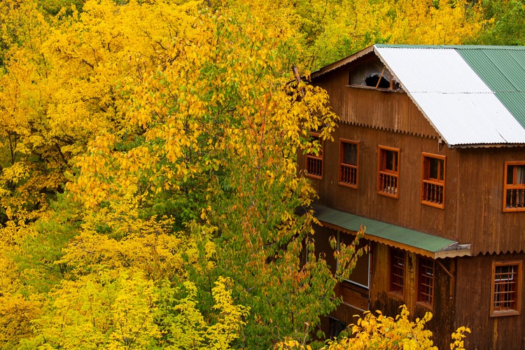 Photo of a traditional wooden house among luscious colorful autumn leaves in October in Erzincan, Kemaliye district.