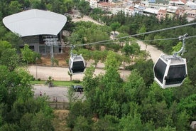 Visite quotidienne de la montagne Bursa Uludag et du téléphérique avec déjeuner au départ d'Istanbul