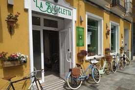 Noleggio biciclette in stile vintage a Malaga