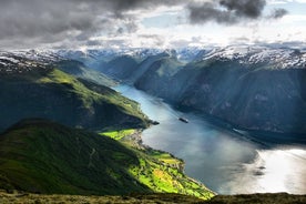 Ósló til Sognefjord Einkaferð í heilan dag fram og til baka, þar á meðal Flam-járnbraut