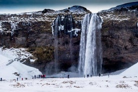 Personalized South Coast Adventure: Waterfalls, Glaciers, and Beaches from Reykjavik