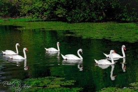 Mantua: Panoramic Cruise with Guide, Natural Oasis and Water Elevator