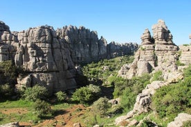 Einkaferð til Antequera og Dolmens frá Cordoba