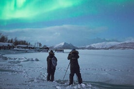 Aurora Sightseeing with Dinner in Abisko