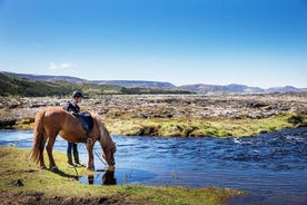 Icelandic Horseback Riding Tour from Reykjavik