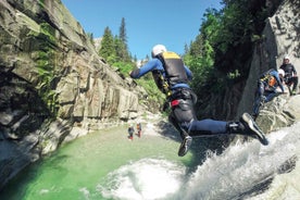 From Interlaken: Grimsel Gorge Canyoning Tour