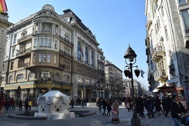 Belgrade Like a Local: tour privato personalizzato