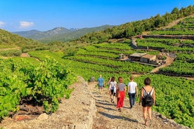 Experiencia de comida y vino para grupos pequeños de Peljesac y Ston desde Dubrovnik