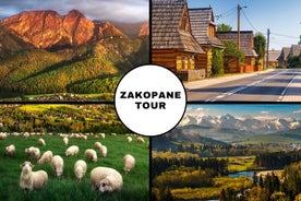 Tour di Zakopane da Cracovia con trasferimenti e opzione pranzo