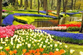 Tour Privado ao Keukenhof