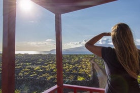 Tour del vino en Pico medio día