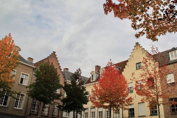 autumn Bruges.jpg