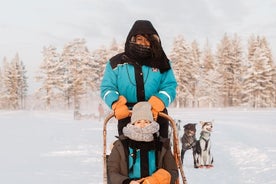 Happy Trail Afternoon 45 minuutin itseohjautuva huskysafari