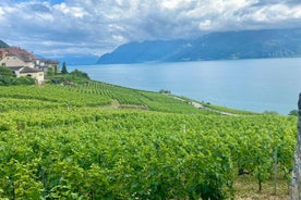 Bern privat tur - Gruyères, ost og Lavauxs UNESCO-vin