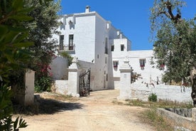 Tour of the oil mill with tasting