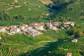 Tour di un giorno del Prosecco, incantevoli cittadine e villa palladiana 