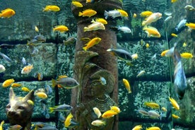 Antalya Aquarium met entree en retourtransfer vanaf Side