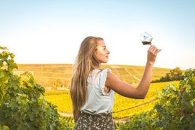 Sancerre Private Wine Tour with 10 Tastings and Lunch from Paris