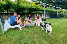 Degustación de comida y vino en el valle de Ossola