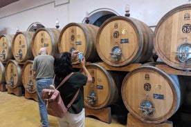 Du lac de Garde: excursion guidée d'une journée complète autour du vin et du déjeuner à Valpolicella