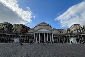 Visite privée d'une journée complète de Naples et du Vésuve