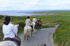 Horse riding - Dirt Trek Trail. Lisdoonvarna, Clare. Guided. 1 hour.