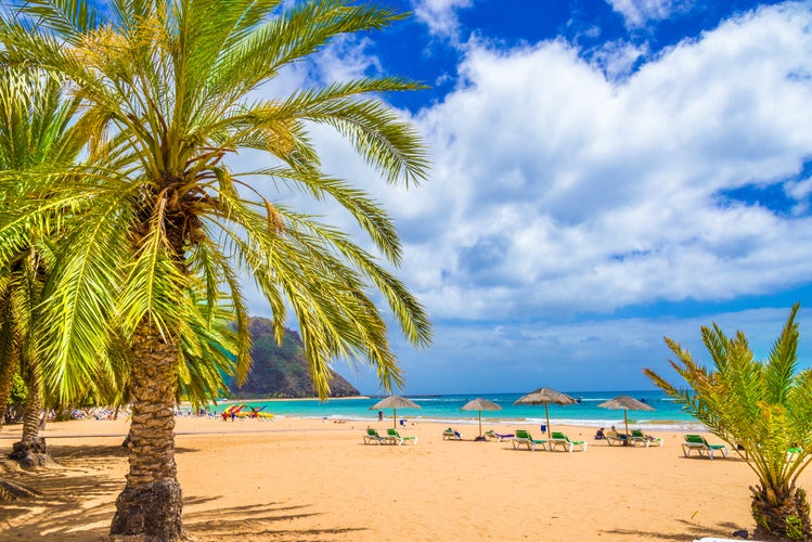 Photo of beautiful beach with sunbeds and umbrellas in Tenerife, Canary Islands, Spain