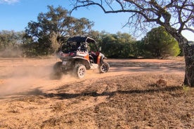 Expedición en buggy: visita guiada todoterreno de medio día desde Albufeira