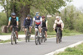 Bordeaux Historic Center & Vineyards Gravel Bike Tour 