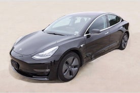 Private Transfer - San Juan Metro Area, Tesla Model 3 Luxury Sedan.