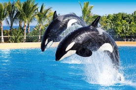 Loro Parque and Siam Park Combined Admission Tickets