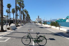 Tour in bici di Malaga - Street Art, centro città, zona della baia