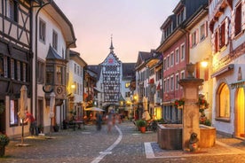 Private tour from Zurich to Rhine Falls & Stein am Rhein