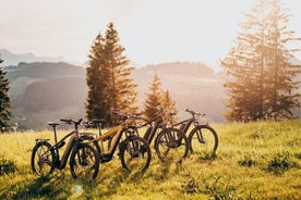 Tour guiado de bicicleta elétrica Castelo de Corfé