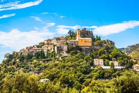 Monaco and Eze Small Group Half-Day Trip from Nice