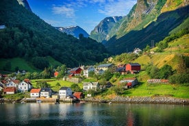 Bergen: Einkaferð fram og til baka til Flam með siglingu um Sognefjord