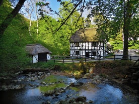 Moesgård Forest Mill