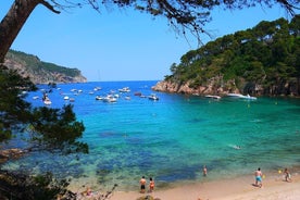 Excursion en petit groupe à Gérone et à Costa Brava avec transfert depuis l'hôtel à Barcelone