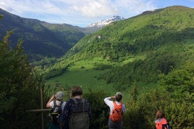 Excursión de un día a Mirepoix, Montségur, Camon. Tour privado desde Carcasona