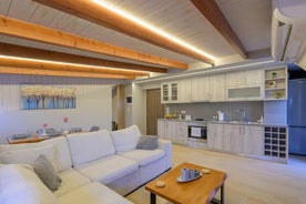 Contemporary Attic