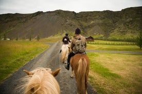 Tour a caballo por el campo islandés: todos los niveles de equitación