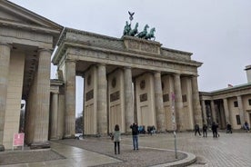 Berlin and Potsdam Private full day Tour by Car 