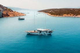 Excursión en barco de día completo a la isla en Salamina