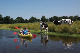 Tour en bicicleta y kayak por el campo de Ámsterdam