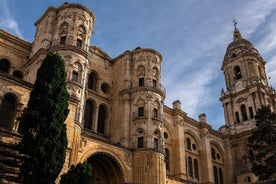 Málaga ferð með dómkirkju, Alcazaba og rómversku leikhúsi