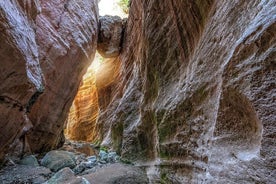 Safari de jipe para o Parque Nacional Akamas: excursão ao desfiladeiro de Avakas saindo de Paphos