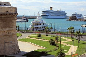 Privétransfer naar Civitavecchia: van het centrum van Rome naar de cruisehaven Civitavecchia