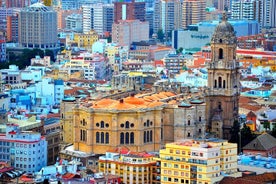 Excursión privada de 9 horas en tierra desde el puerto de cruceros de Motril a Málaga