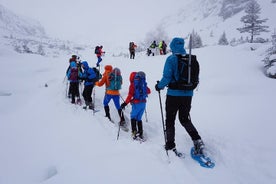 ソフィアからヴィトシャ山のチェルニ ヴラへの 1 日スノーシュー アドベンチャー